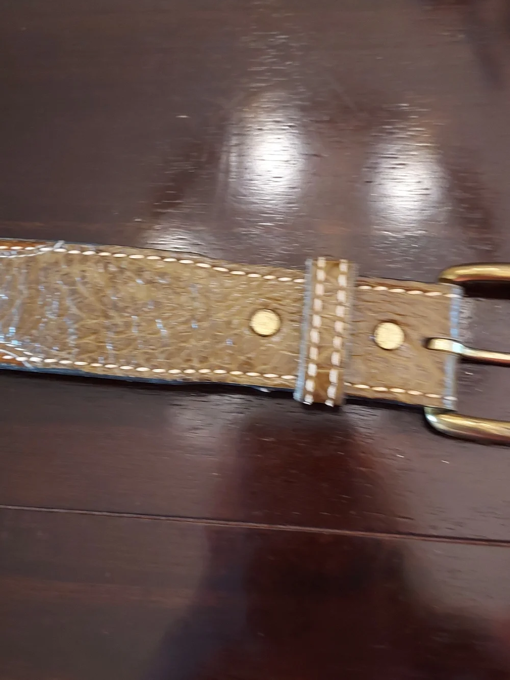 Unisex Two-Tone Brown Western Leather Belt with Textured Panels. SZ. 32